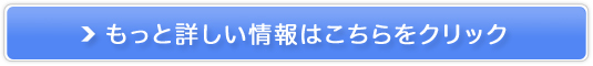\VXeySTORES\z̔TCg